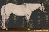 Horse Color:Silver Brown Roan Dun 