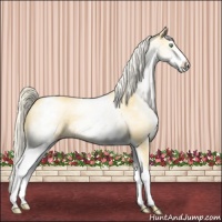 Horse Color:White Spotted Gold Cream Champagne 