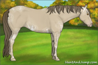 Horse Color:Classic Cream Champagne Ice 