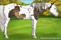 Horse Color:Silver Smoky Black Splash Tobiano 