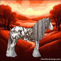 Horse Color:Liver Chestnut Sabino Splash Appaloosa  and Liver Chestnut Sabino Splash Appaloosa 