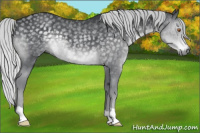 Horse Color:Silver Black Chinchilla 