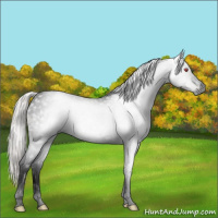 Horse Color:Gray Void Silver Black Chinchilla Tobiano 