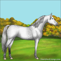 Horse Color:Gray Void Silver Black Splash Tobiano 