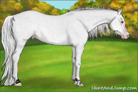 Horse Color:Void Silver Classic Champagne Chinchilla 