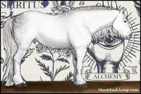 Horse Color:Gray Silver Black Splash Tobiano 