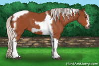 Horse Color:Silver Bay Tobiano Frame 