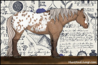 Horse Color:Silver Brown Dun Appaloosa 