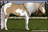 Horse Color:Chocolate Palomino Dun Splash Tobiano Rabicano 