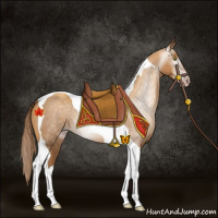 Horse Color:Gray Gold Champagne Tobiano 