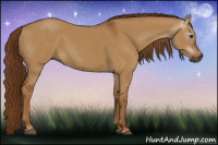 Horse Color:Gray Red Dun 