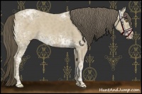Horse Color:Classic Cream Champagne Ice 