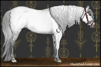 Horse Color:Gray Grullo
