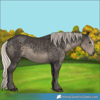 Horse Color:Silver Smoky Black Rabicano 