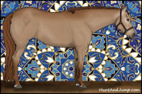 Horse Color:Gray Chestnut 