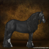 Horse Color:Gray Smoky Black 