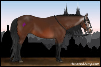 Horse Color:Gray Bay 