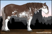 Horse Color:Liver Chestnut Sabino Splash