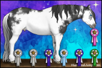 Horse Color:White Spotted Black Sabino Splash Frame 