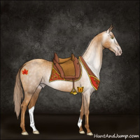 Horse Color:Gray Gold Champagne