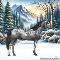 Horse Color:Black Ice 