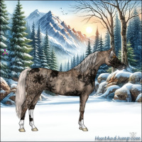 Horse Color:Silver Classic Champagne Ice 