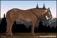 Horse Color:Gray Chestnut 