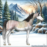 Horse Color:Buckskin Ice Splash 