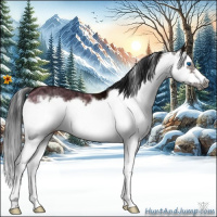 Horse Color:Bay Ice Splash Frame 