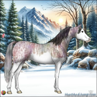 Horse Color:Nacre Bay Ice Splash Rabicano 