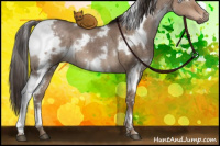 Horse Color:White Spotted Liver Red Dun 