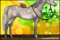 Horse Color:White Spotted Silver Brown Ice Dun 