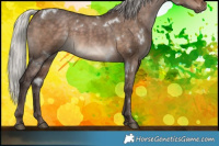 Horse Color:White Spotted Silver Brown Dun 