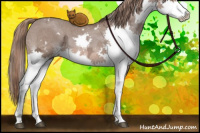 Horse Color:White Spotted Liver Red Dun Ice Splash 