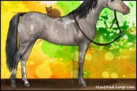 Horse Color:White Spotted Brown Ice Dun 