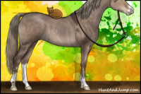 Horse Color:Liver Red Dun Sabino 