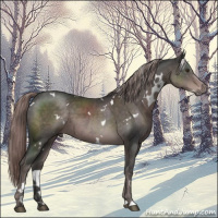 Horse Color:Platinum White Spotted Liver Chestnut 