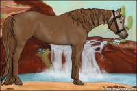 Horse Color:Gray Chestnut 