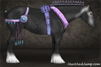 Horse Color:Gray Black 