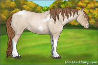 Horse Color:Liver Red Dun Roan Pearl Tobiano Frame 