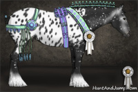 Horse Color:Gray Black Appaloosa