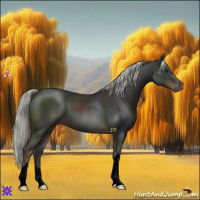 Horse Color:Void Liver Chestnut Mushroom 