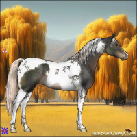 Horse Color:Liver Chestnut Mushroom Tobiano