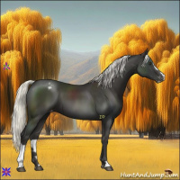 Horse Color:Liver Chestnut Mushroom Sabino Appaloosa 