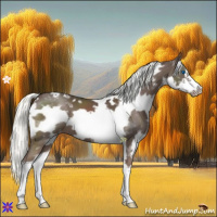 Horse Color:White Spotted Liver Chestnut Mushroom Splash Frame Varnish 