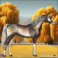 Horse Color:Liver Red Onyx Mushroom 