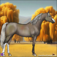 Horse Color:Liver Red Dun Mushroom 