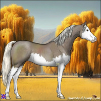 Horse Color:Liver Red Dun Mushroom Splash