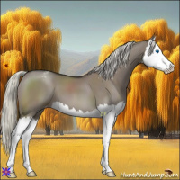Horse Color:Liver Red Dun Mushroom Splash Varnish 