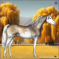 Horse Color:Liver Red Onyx Mushroom Splash 